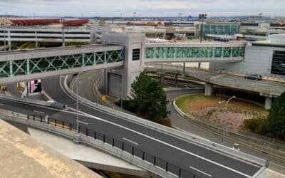 Scorpion Stings, woman in Boston, luggage claim while picking luggage after a flight from Mexico