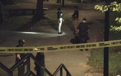 5 shots, 1 fatally, while multiple gunmen open fire in New York City Park: NYPD