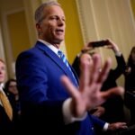 Thune says he offered Democrats vote on Obamacare subsidies to end government shutdown