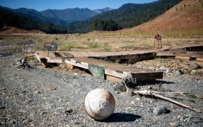 Drought linked to increased human-wildlife conflict in California: study