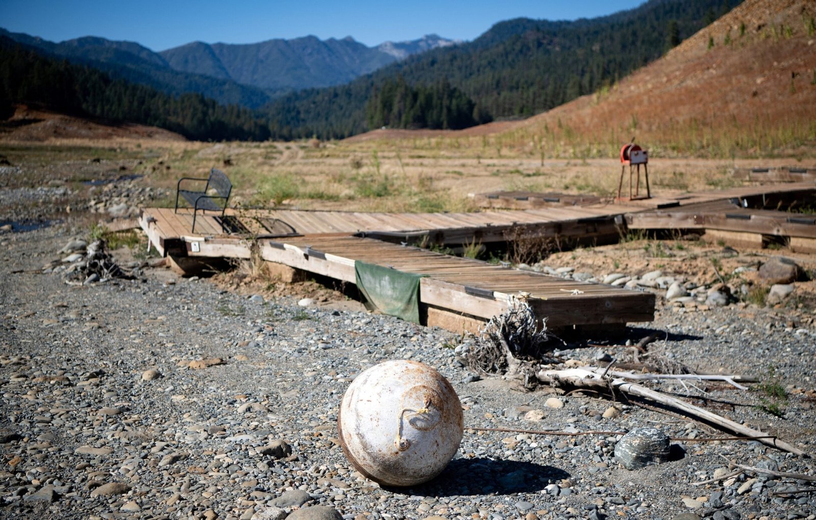 Drought linked to increased human-wildlife conflict in California: study