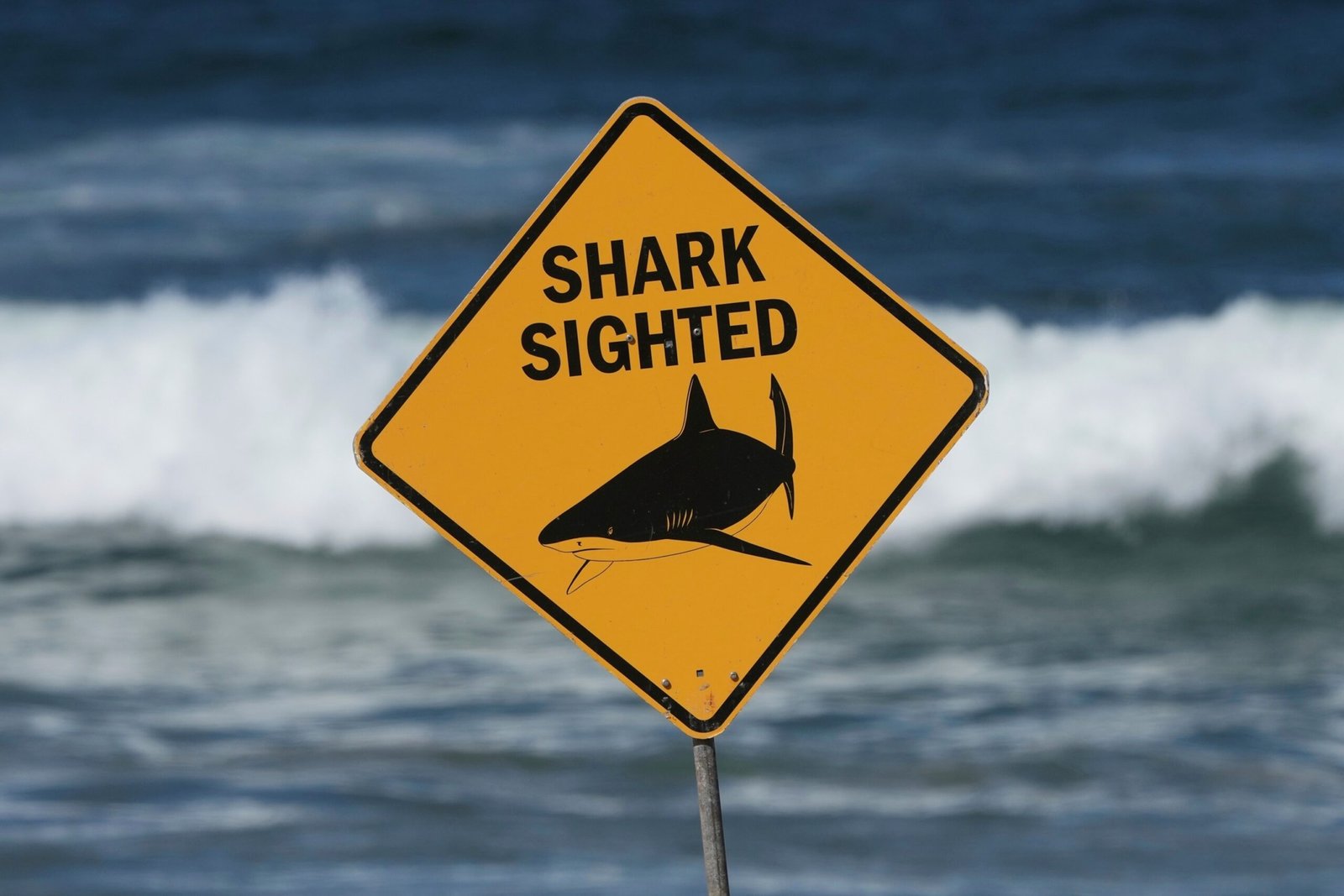 PHOTO: Shark attack in Australia