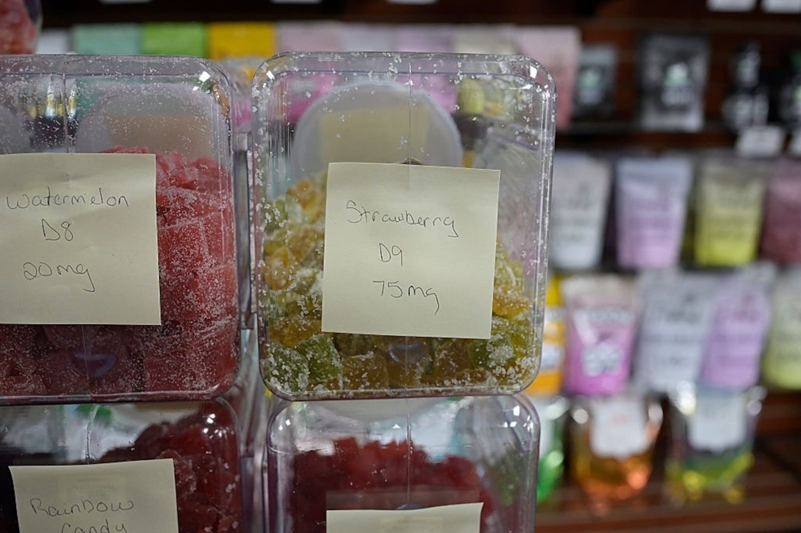 PHOTO: Aurora code application